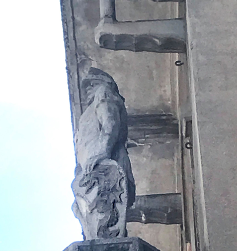 La nostra mascotte